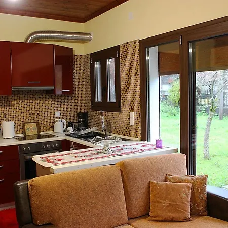 Snow Story 1 -elati, Trikala-2bd Ελάτη
